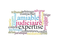 Expertise judiciaire